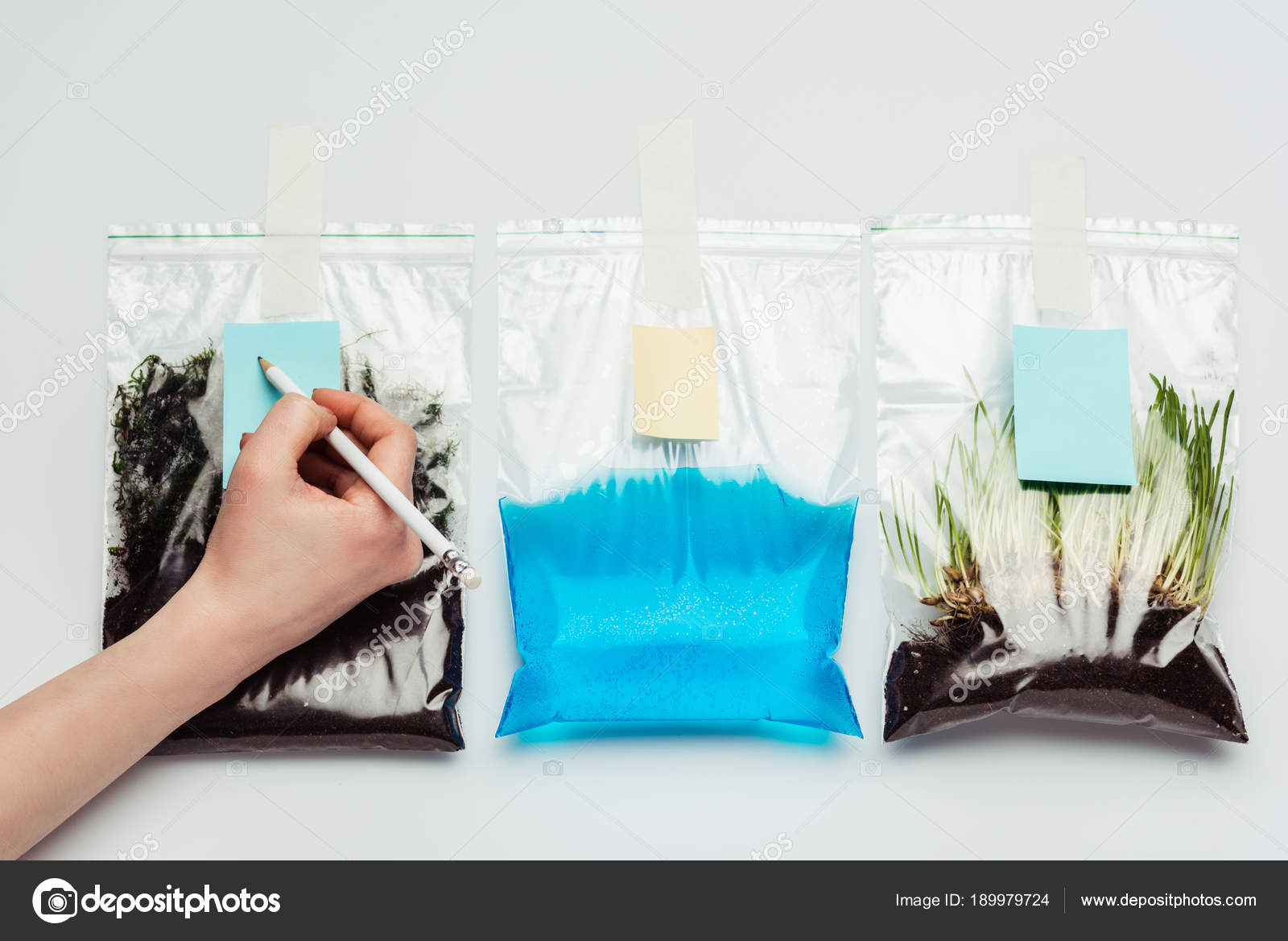 a hand holding a pen over a bag of soil