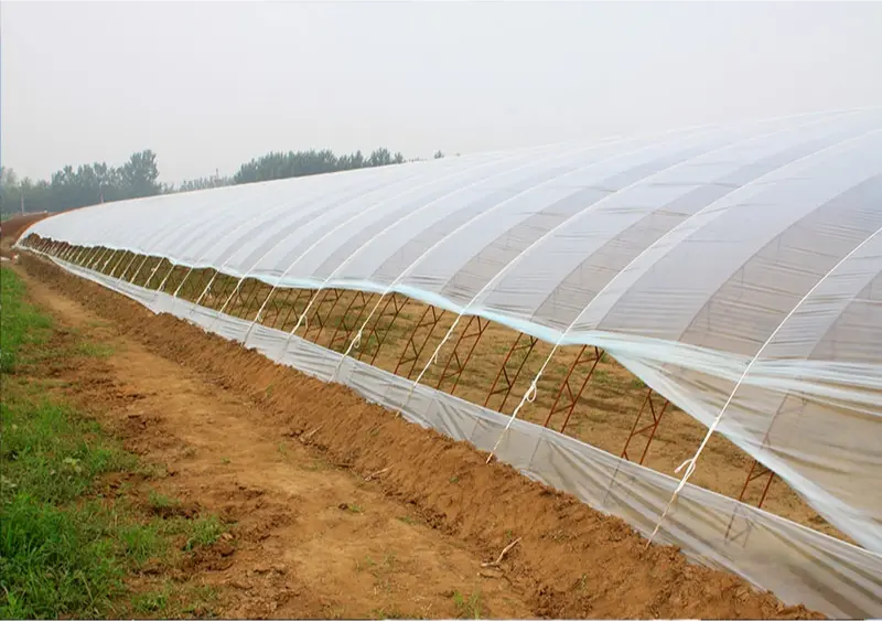 a greenhouse with a clear cover