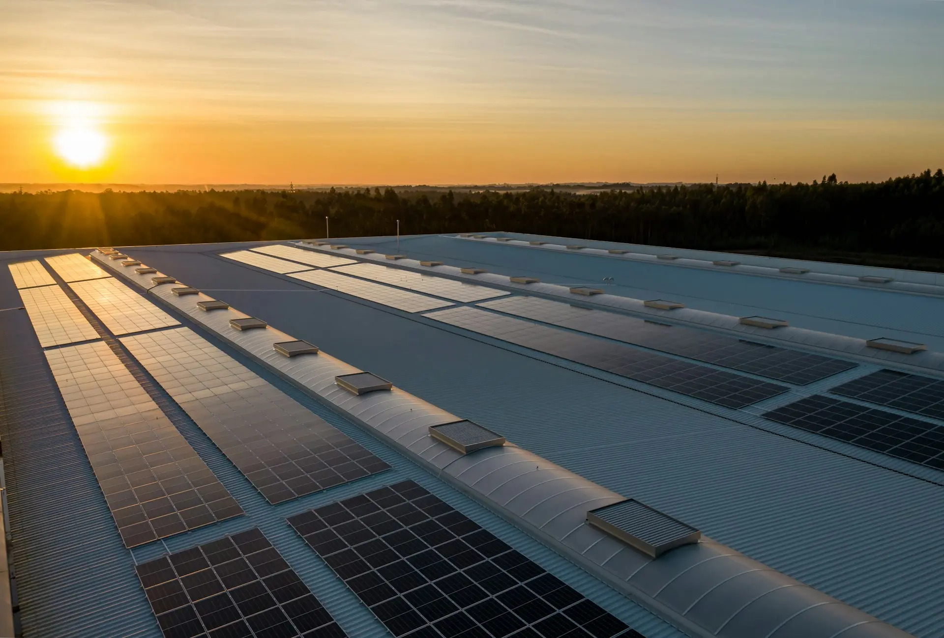solar panels on a roof