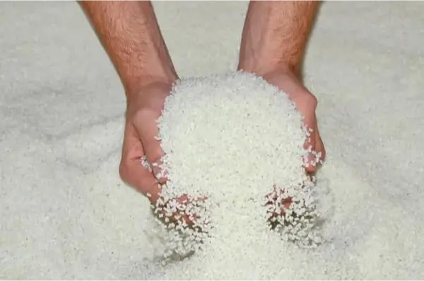 hands holding white rice