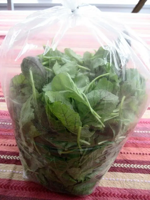 a bag of greens on a table